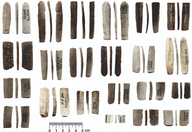 Ученые выяснили причину неолитической революции в древнем Поволжье