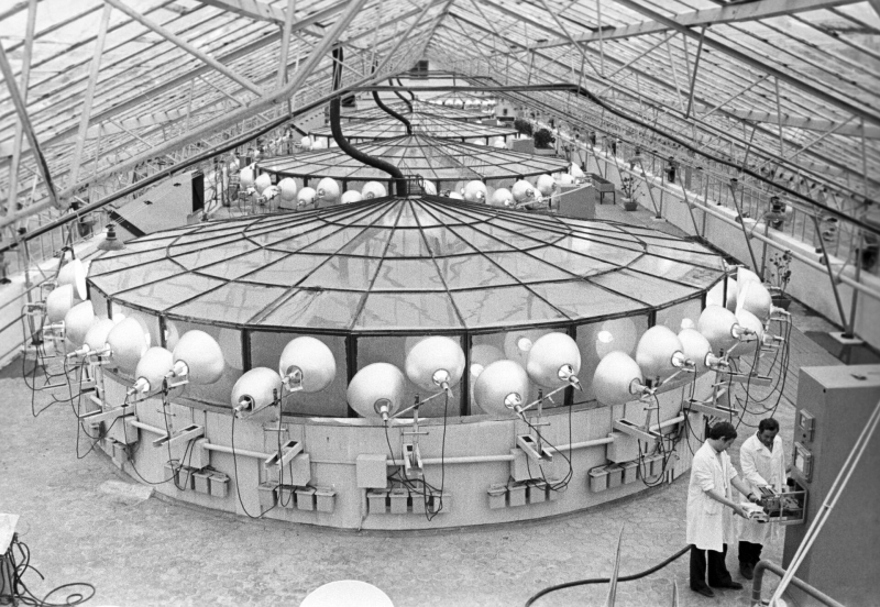 Задолго до Маска: амбициозный план Королева полететь на Марс