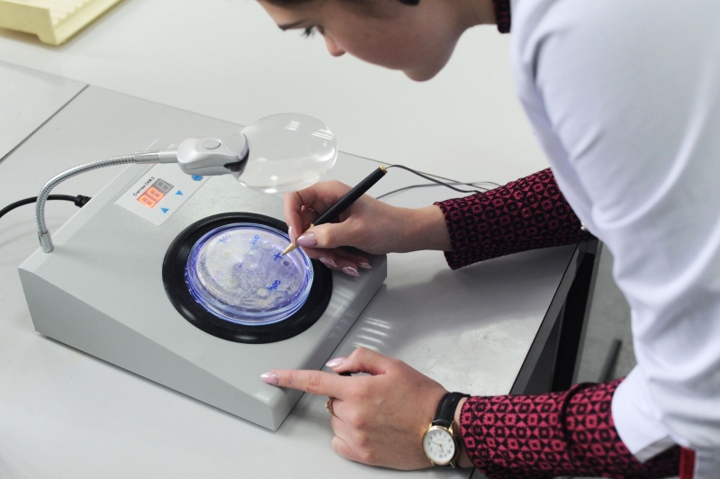 В глубине Земли обнаружена империя "зомби" весом 20 миллиардов тонн