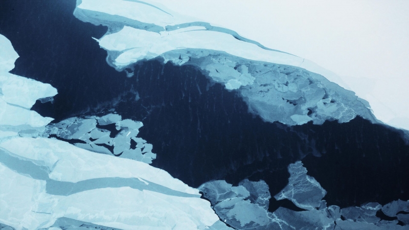 Площадь льдов в Северном Ледовитом океане стала минимальной с 1979 года