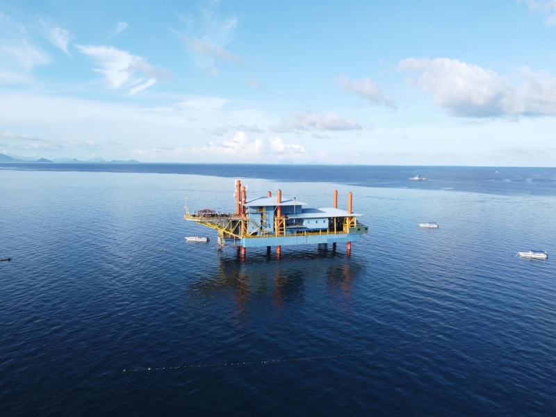 В глубине Земли обнаружена империя "зомби" весом 20 миллиардов тонн