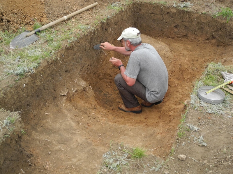 Найдены главные враги крымского виноделия