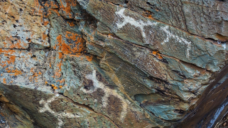 Археологическая катастрофа. Что скрывает клад из разрушенного музея Суджи