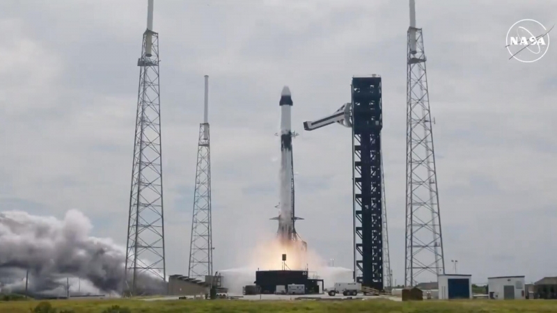 Правительство Багамских островов приостановило посадки ракет SpaceX