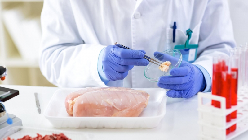 Ученые впервые вырастили человеческие зубы в лаборатории, сообщили СМИ