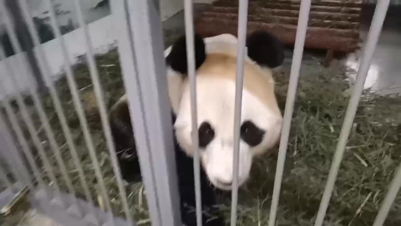 Кэти Перри напишет песню о полете в космос