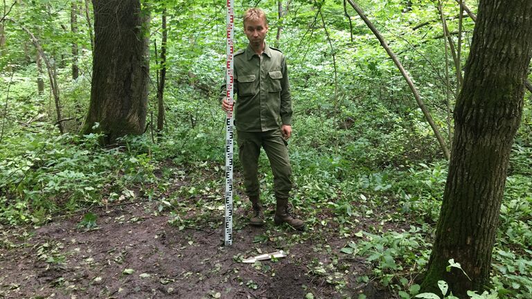 Вожди или жрецы? Ученые открыли новый обряд погребения ранних славян