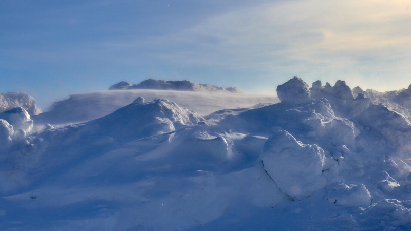 Российская орбитальная станция поможет в освоении Арктики, заявили в РАН