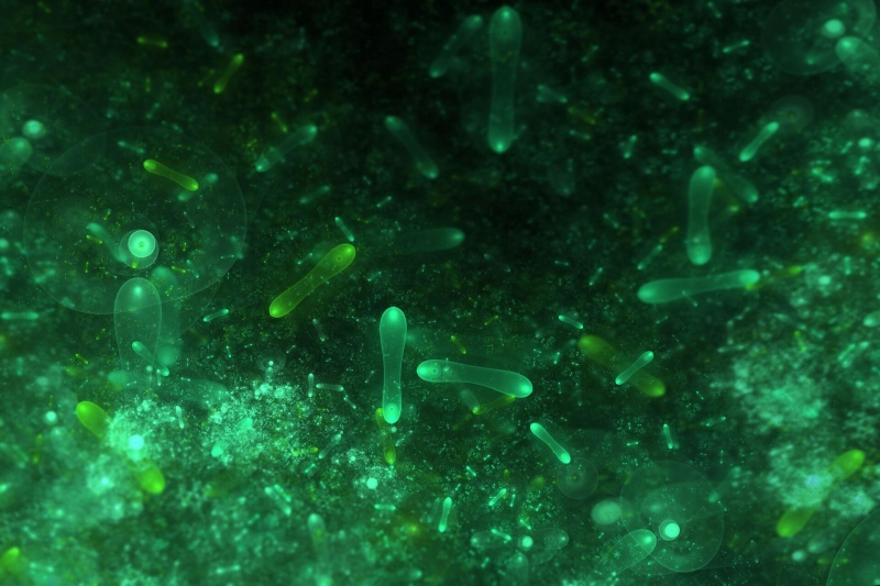 В глубине Земли обнаружена империя "зомби" весом 20 миллиардов тонн