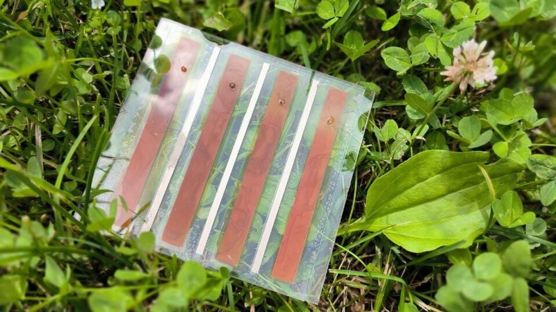 "Роснано" запустило первый в России завод по производству солнечных модулей