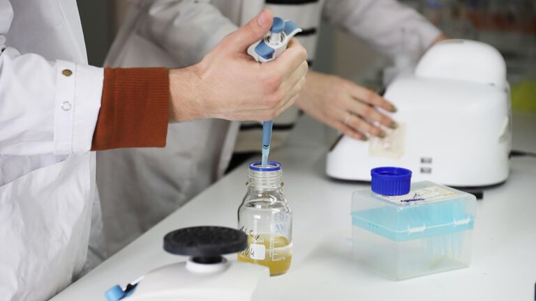 "Съедает" яды. Найдена бактерия, разлагающая фенол