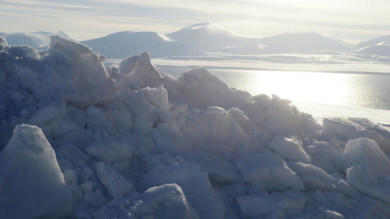 Ученые рассказали о скорости таяния ледников Шпицбергена