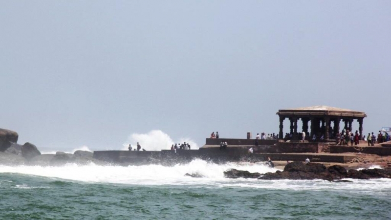 Редкой улитке-левше из Новой Зеландии ищут партнера