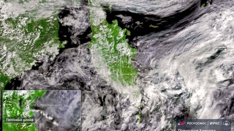 "Роскосмос" рассказал о работе спутника с мышами и мухами