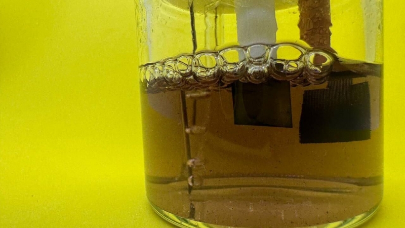 Ученые повысили мощность батареек из бактерий