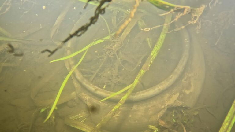 Археологи нашли на Оке следы древнего торгового пути