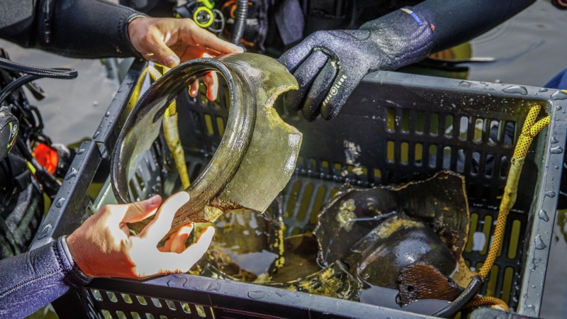 В Австралии открыли новый вид древнего кита