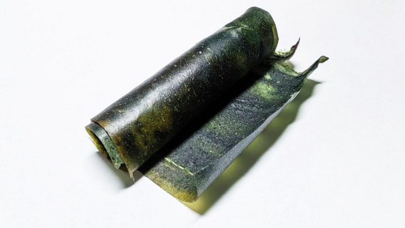 Ученые нашли новое противоядие от укусов змей