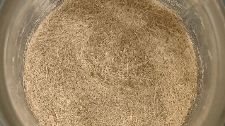 Найден способ предотвратить опасные последствия диабета