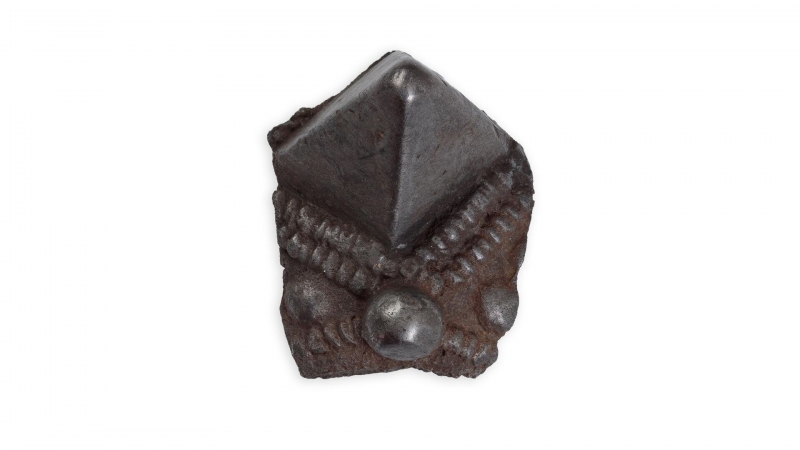 Тульские археологи нашли следы неизвестных племен на верхней Оке