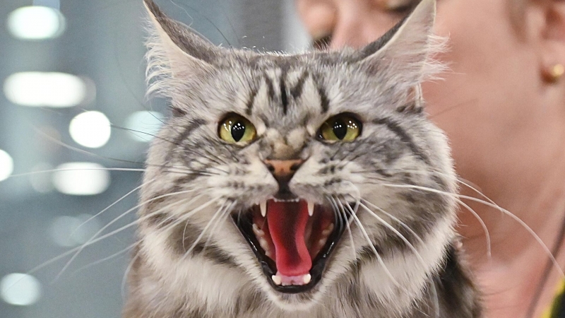 Смертельная угроза: в генах древнего народа нашли опасную для детей мутацию