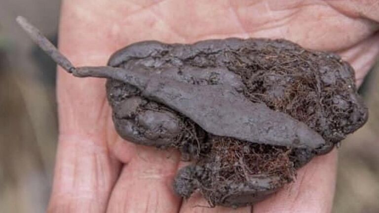 Археологи нашли на Оке следы древнего торгового пути