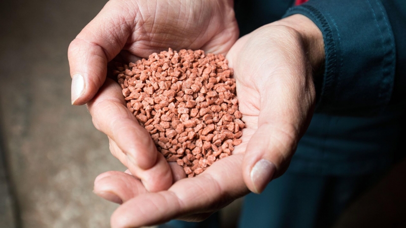 В США вывели сорта пшеницы, которые производят собственные удобрения