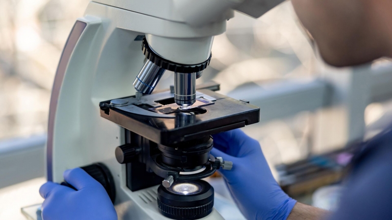 Глава РАН оценил исследования вакцины от рака в России