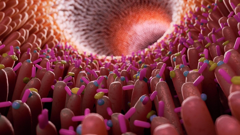 Ученые создали новый материал для превращения воды в топливо