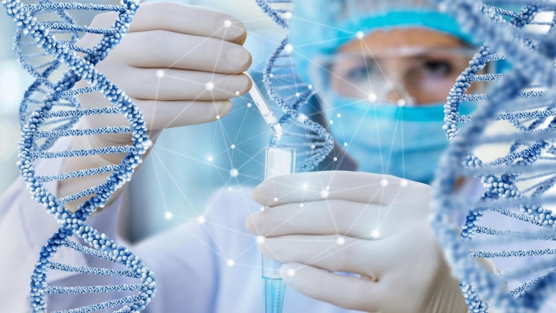 Ученые обнаружили универсальный закон живой природы