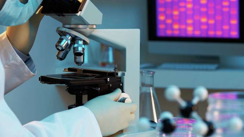 В Туле нашли способ предсказывать сердечно-сосудистые катастрофы