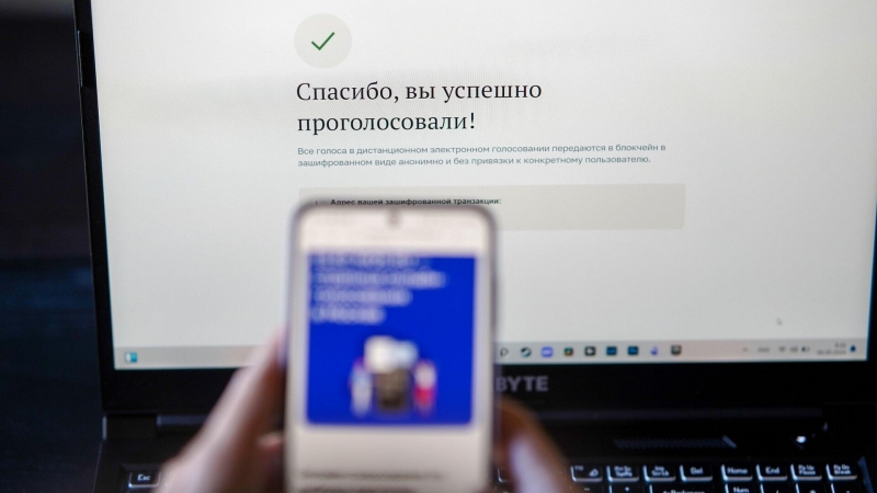 Более миллиона россиян проголосовали через платформу ДЭГ