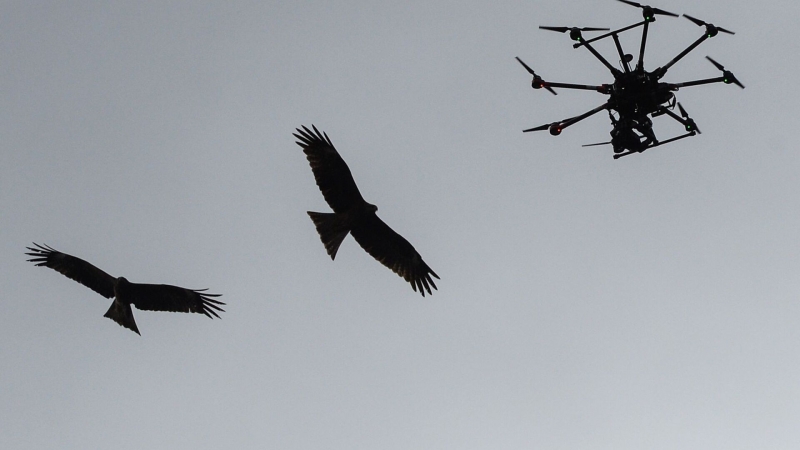 Студенческий стартап разработал телескопическое крыло для беспилотника