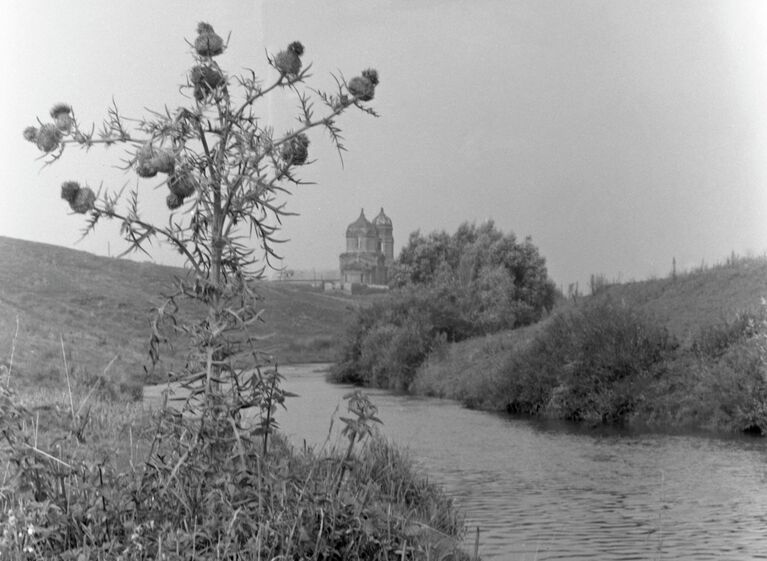 Куликовской битве — 645 лет. Как искали и нашли место знакового сражения