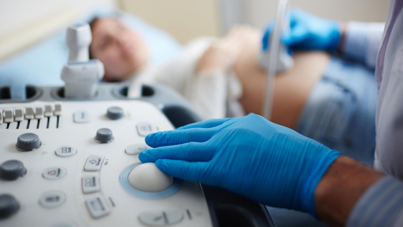 Сибирские ученые сделали открытие для успешного ЭКО