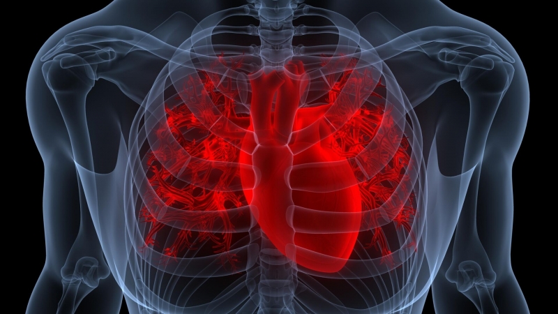 В Туле нашли способ предсказывать сердечно-сосудистые катастрофы