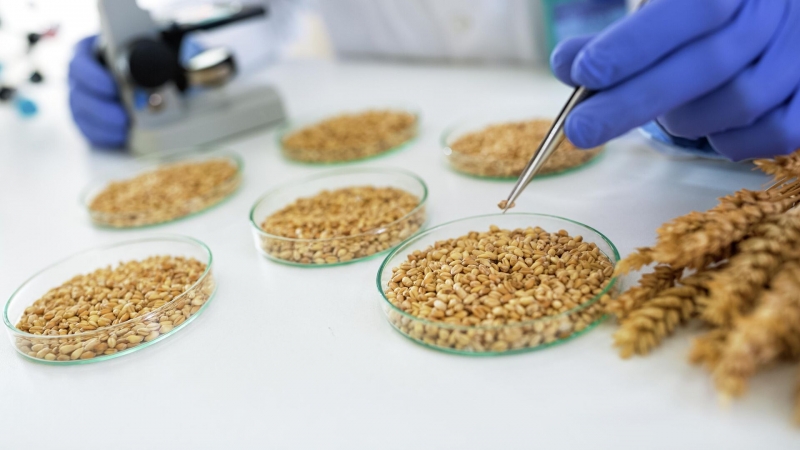 В России названы имена лучших молодых ученых