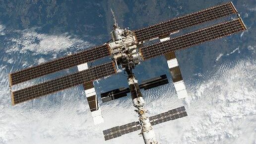 Потомки мух, слетавших в космос на "Бионе-М", отправятся на МКС