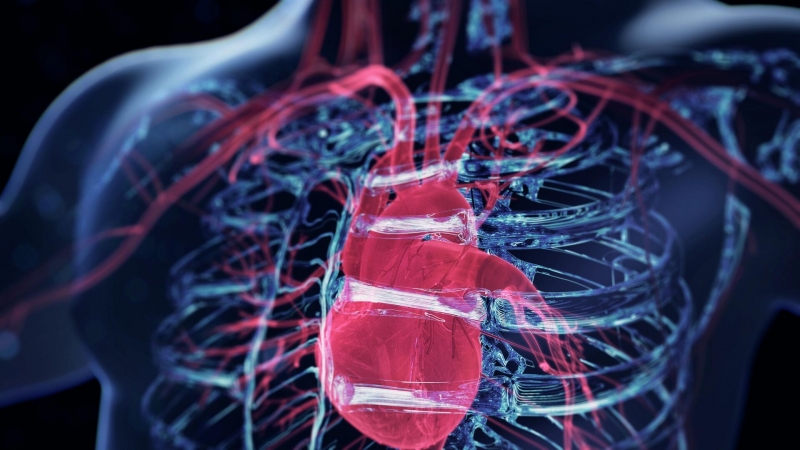 В Саратове создан датчик, выявляющий болезни сердца за три минуты