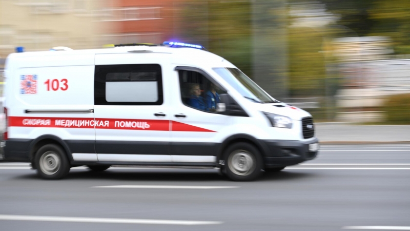 Смертельная "русская матрешка": выявлена новая инфекционная угроза