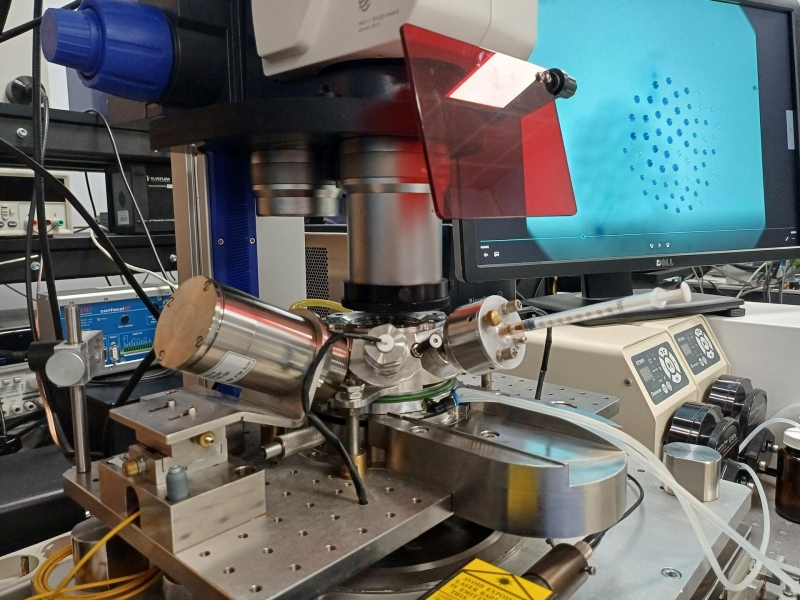 Ученые из Тюмени научились защищать урожай в засуху 