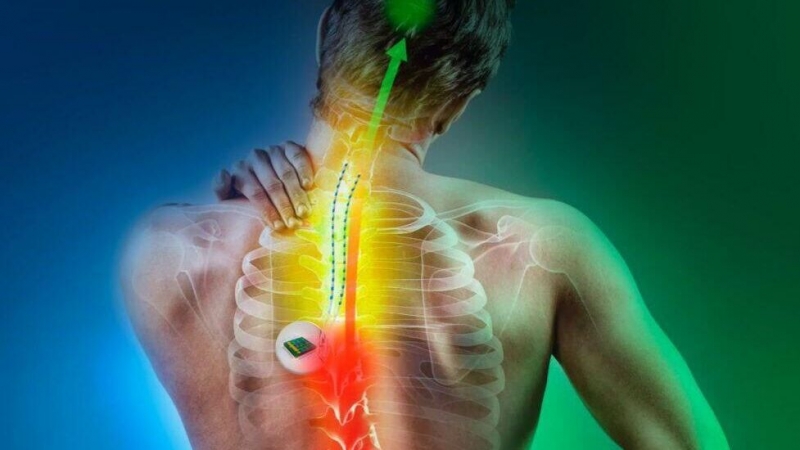 В России создан материал для "мягкого" восстановления нервов