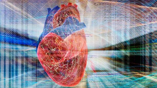 В Туле нашли способ предсказывать сердечно-сосудистые катастрофы