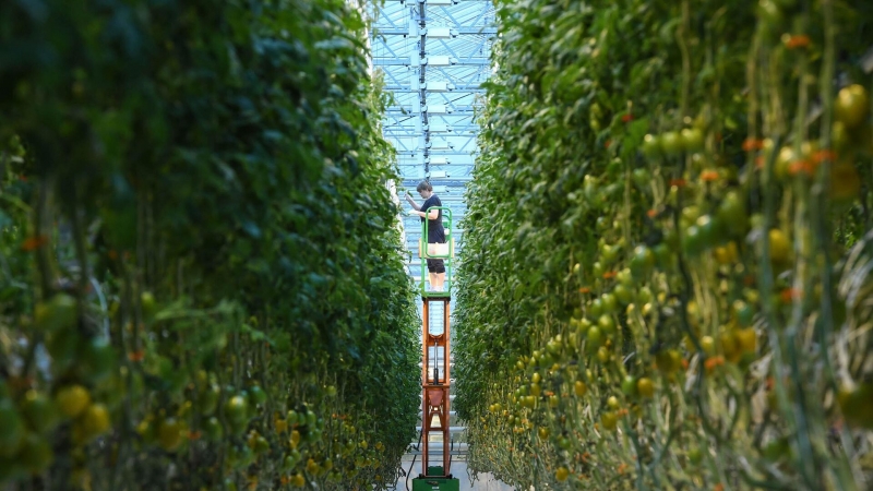 Ученые обнаружили опасные подтверждения климатических изменений