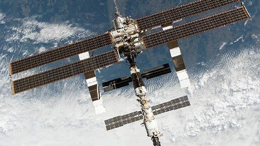 Десять мышей, совершивших полет на спутнике "Бион-М", погибли