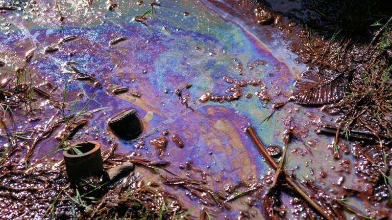 В Сургуте нашли способ "отмывать" почвы от дизеля