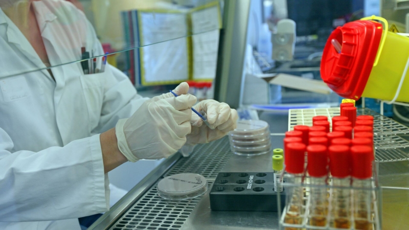 Российские ученые синтезировали новые молекулы для борьбы с оспой