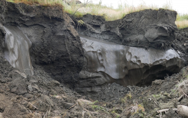 "Древнее зло пробудилось": находка в вечной мерзлоте ужаснула ученых