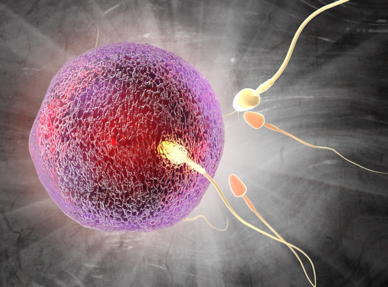 Часики больше не тикают: найдено решение важнейшей женской проблемы