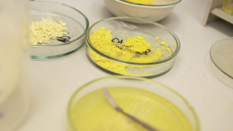 На Урале получили из растений новые красители для медицины